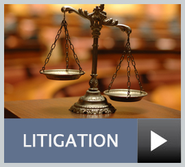 Business litigation services