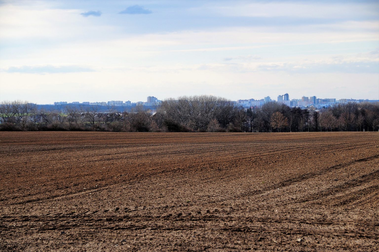 Buying and Selling Vacant Land in Wisconsin Wynn at Law, LLC